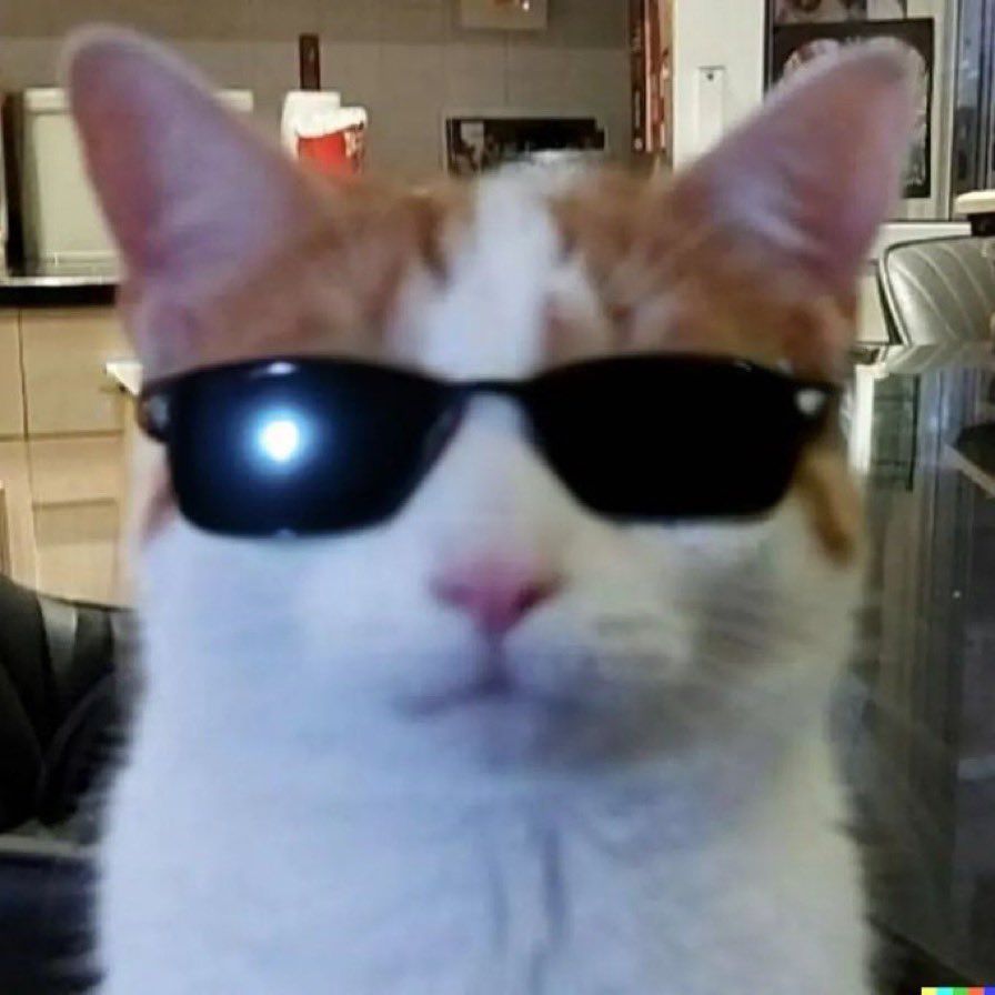 A cool white cat wearing sunglasses